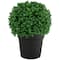 9.5" Artificial Boxwood Ball Topiary in Round Pot